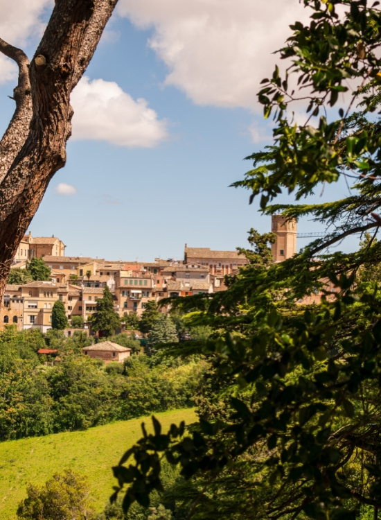 Vista di un borgo tra alberi verdi, cielo azzurro e nuvole soffici.